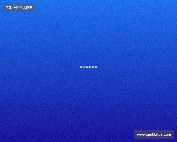 中国cba比赛的日程表